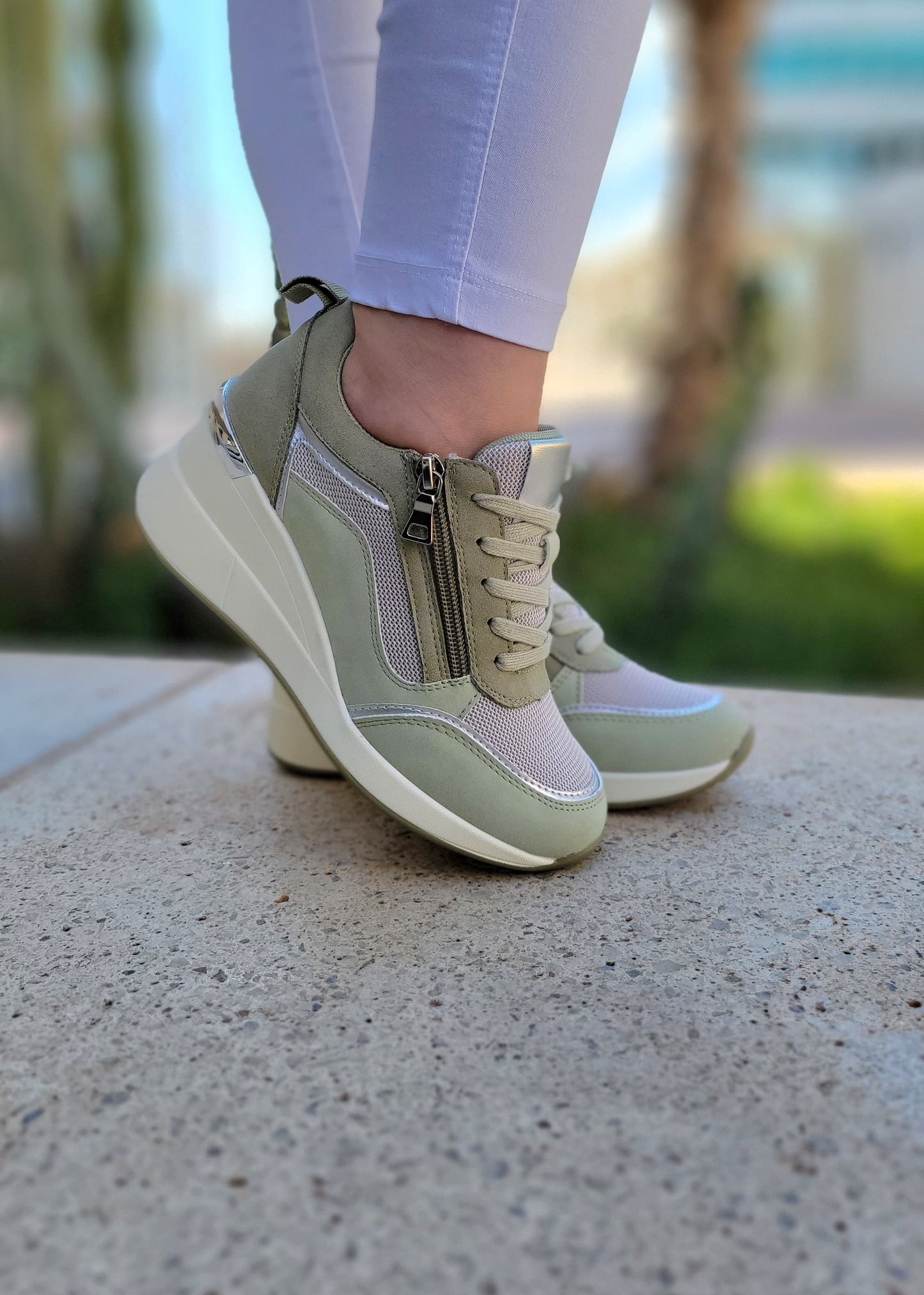 🇨🇵🇨🇵CHIC-8730- GREEN🇨🇵🇨🇵